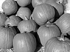 Black & White Pumpkins for Halloween preview