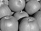 Black & White Close Up - Pumpkins preview