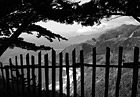 Black & White Pacific Ocean View Through Fence preview