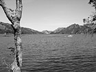 Black & White California Lake preview
