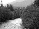 Black & White Green River & Old Bridge preview