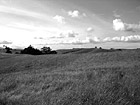 Black & White Rolling Hills in California preview