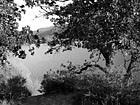 Black & White Lake & Scenic Trees preview