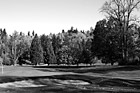Black & White Scenic Landscape of Golf Course preview