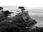 Black & White Lone Cypress  in Pebble Beach preview