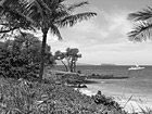 Black & White Beautiful Maui, Boat, and Pacific Ocean preview