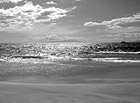 Black & White Boat & Beach of Maui, Hawaii preview