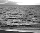 Black & White Ocean Sunset preview