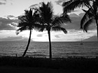 Black & White Maui Sunset preview