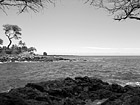 Black & White Pacific Ocean, Maui preview