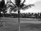 Black & White Maui Golf Course preview