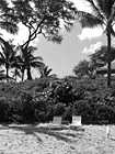 Black & White Two Lawn Chairs on Beach preview