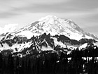 Black & White Close up of Mt. Rainier at Tipsoo Lake preview