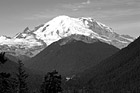 Black & White Mt. Rainier Near White River Entrance preview