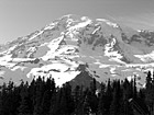 Black & White Mount Rainier at Paradise Park preview