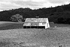 Black & White Green Grass and Old Barn preview