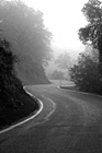 Black & White Curvy Road with Fog preview