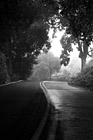 Black & White Road with Fog & Shadows preview