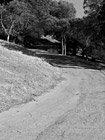Black & White Shadows on Curvy Road preview
