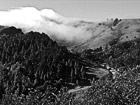 Black & White Fog Rolling over Road in San Francisco preview