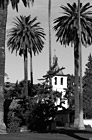 Black & White Santa Clara Mission Church, California preview