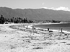 Black & White Life at Beach in Santa Barbara preview