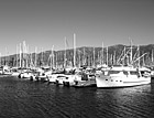 Black & White Boats of Santa Barbara, California preview