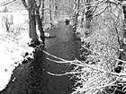 Black & White Snow & Creek preview