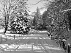 Black & White Beautiful Winter Snow Scene preview