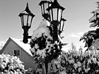 Black & White Christmas Wreath in Snow preview