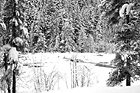 Black & White Snow & Covered Water preview
