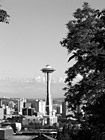 Black & White Tree & Space Needle preview