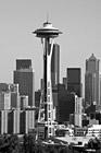 Black & White Space Needle View preview