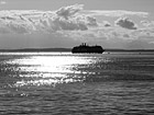 Black & White View of Water and Ferry preview