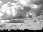 Black & White Puffy Clouds Over Farm preview