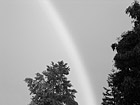 Black & White Bright Rainbow preview