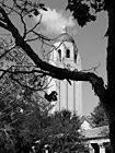 Black & White Stanford University, California preview