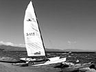 Black & White Sailboat & View of Lake Tahoe preview