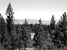 Black & White Lake Tahoe Through Trees preview