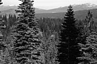 Black & White Tahoe Ski Resort View preview