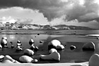 Black & White Lake Tahoe Clouds and Snow preview