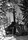 Black & White Cabin Scene in Lake Tahoe preview