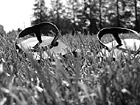 Black & White Sandals in Grass preview