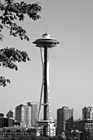 Black & White Space Needle preview