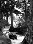 Black & White Lower Eagle Falls at Lake Tahoe preview
