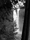 Black & White Snoqualmie Falls Behind Trees preview