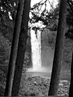 Black & White Snoqualmie Falls Between Trees preview