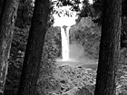Black & White Snoqualmie Falls in Distance preview