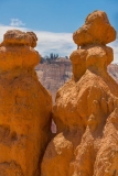 Bryce National Park
