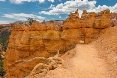 Bryce National Park Hiking Trail